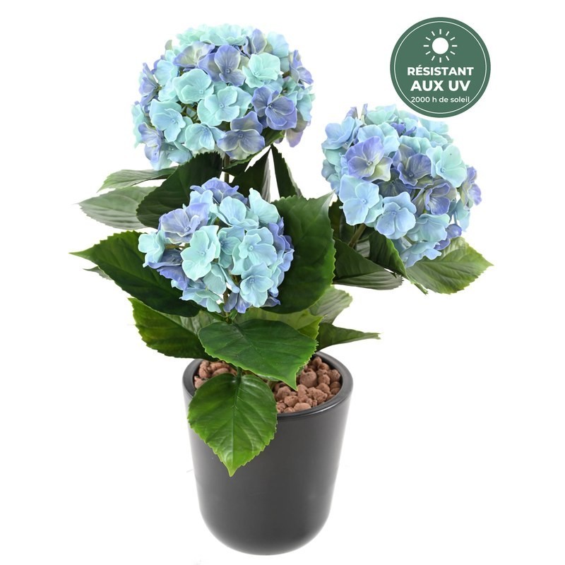 Hortensia bleu 45 cm anti-UV, feuillage et fleurs, vente en gros pour commerçants