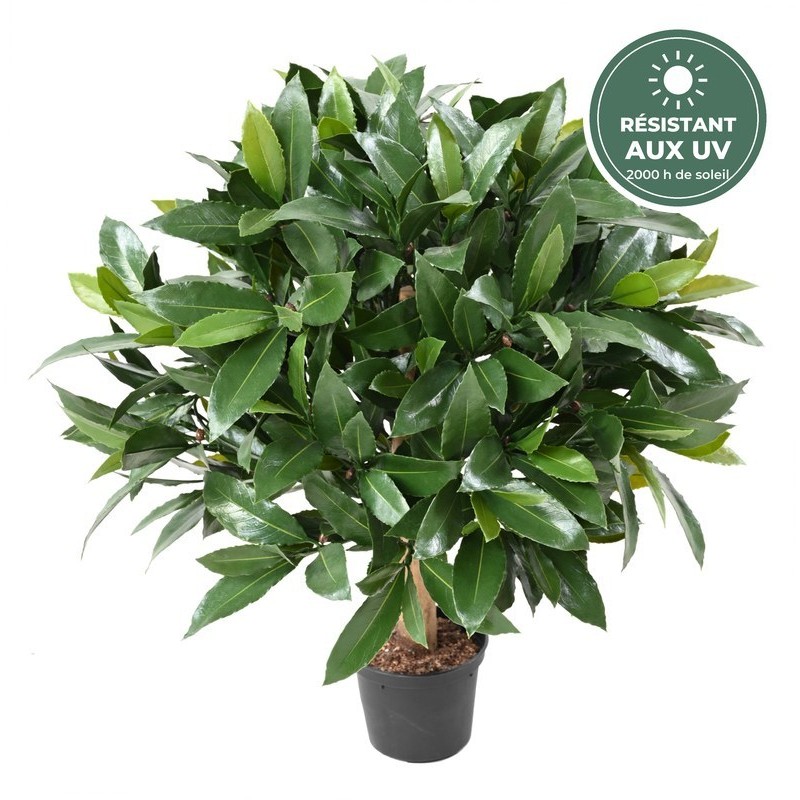 Boule de laurier nobilis artificielle 50 cm résistante aux UV, grossiste en plantes artificielles