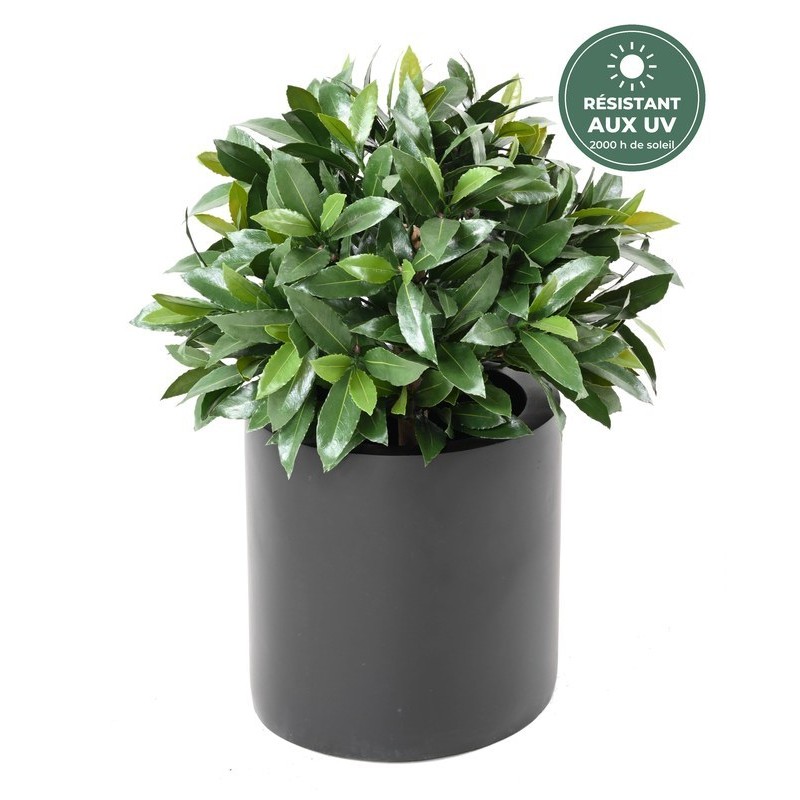 Laurier nobilis boule 50 cm en situation, plantes artificielles en gros pour devanture