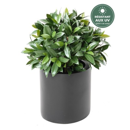 Laurier nobilis boule 50 cm en situation, plantes artificielles en gros pour devanture