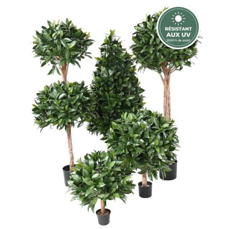 Feuillage du laurier nobilis double boule 140 cm, vente en gros pour hôtels et commerçants