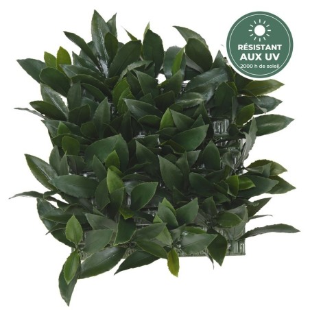 Plaque de laurier nobilis artificiel vert 35 × 35 cm traitée UV, grossiste en feuillage artificiel