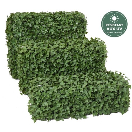 Haie de lierre 32 cm sur structure métal, vente en gros pour fleuristes et terrasses
