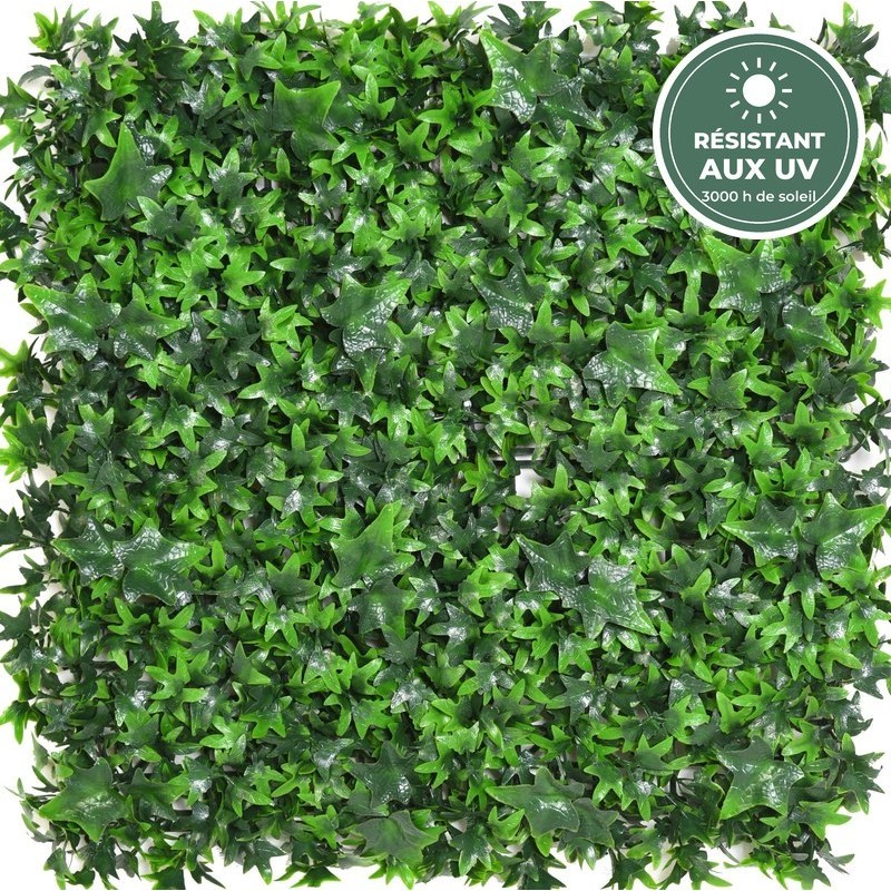 Plaque murale de lierre artificiel verte 55 × 55 cm résistante aux UV, grossiste en murs végétaux