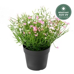 Mini marguerite artificielle en pot rose 20 cm traitée UV, grossiste en plantes fleuries