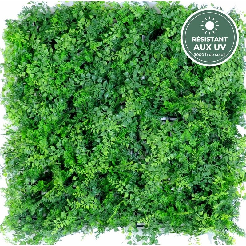 Plaque de fougère artificielle vert et vert clair 50 × 50 cm résistante aux UV, grossiste en murs végétaux