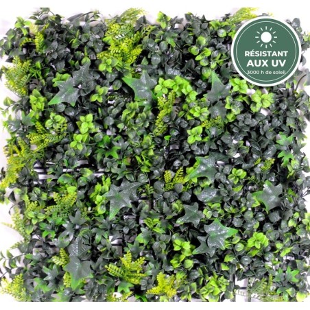Plaque de lierre et buis artificiels verte 50 × 50 cm résistante aux UV, grossiste en murs végétaux