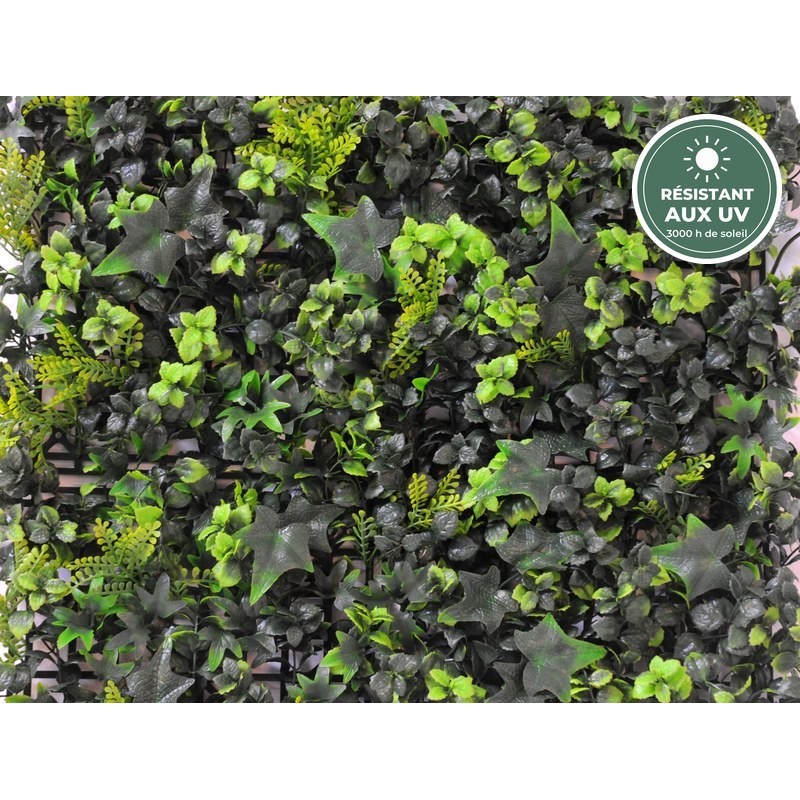 Détail de la plaque lierre et buis 50 cm traitée UV, vente en gros pour fleuristes