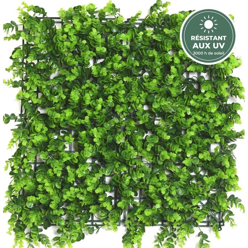 Plaque murale eucalyptus artificiel vert 50 × 50 cm, grossiste en plantes artificielles résistantes aux UV