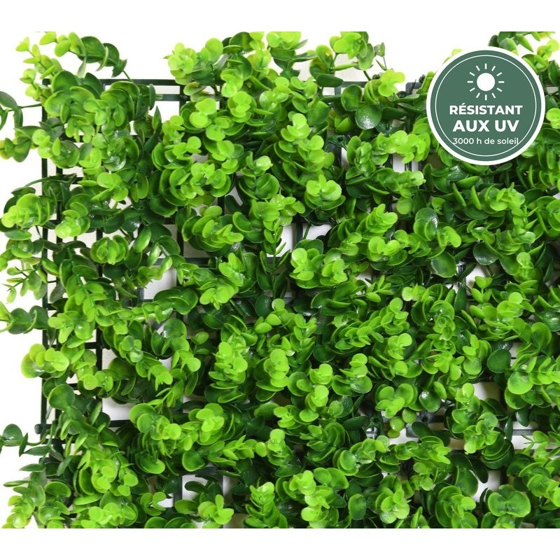 Détail du feuillage eucalyptus vert de la plaque murale 50 cm, vente en gros pour fleuristes et commerçants