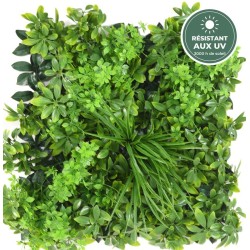 Fleurs jaunes en étoile de la plaque végétale 50 cm, vente en gros pour fleuristes