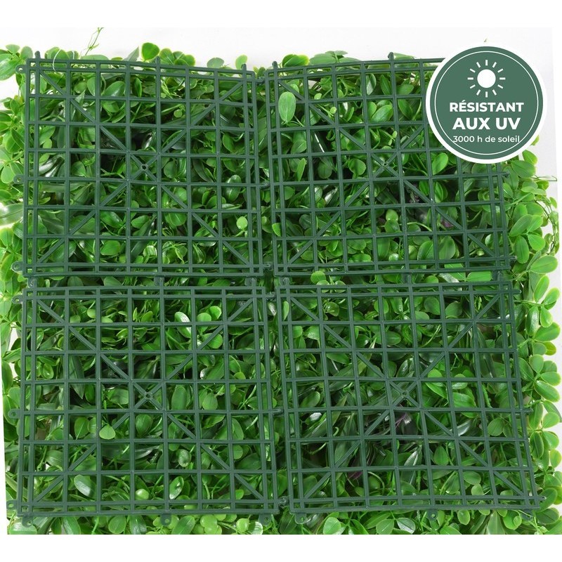 Feuillage dense à touches pourpres de la plaque végétale 50 cm, vente en gros pour fleuristes