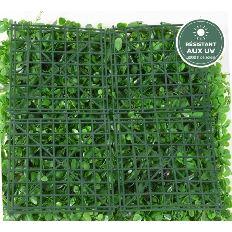 Feuillage dense à touches pourpres de la plaque végétale 50 cm, vente en gros pour fleuristes