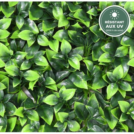 Feuilles ovales de la plaque haie artificielle 50 cm, vente en gros pour fleuristes et paysagistes
