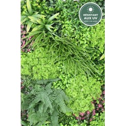 Fougères du mur végétal artificiel 1 m², vente en gros pour fleuristes