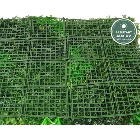 Mur végétal fougères vert vu de près, vente en gros pour commerçants
