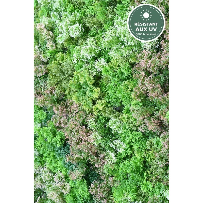 Feuillage panaché vert et brun rosé du mur effet mousse, vente en gros pour fleuristes