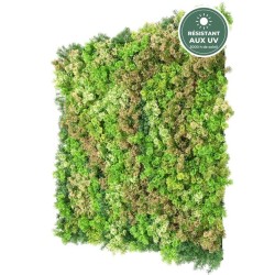 Détail effet lichen du mur végétal artificiel 1 m², grossiste en décoration de façade