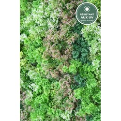 Mur effet mousse panaché vu de près, fournitures en gros pour décorateurs
