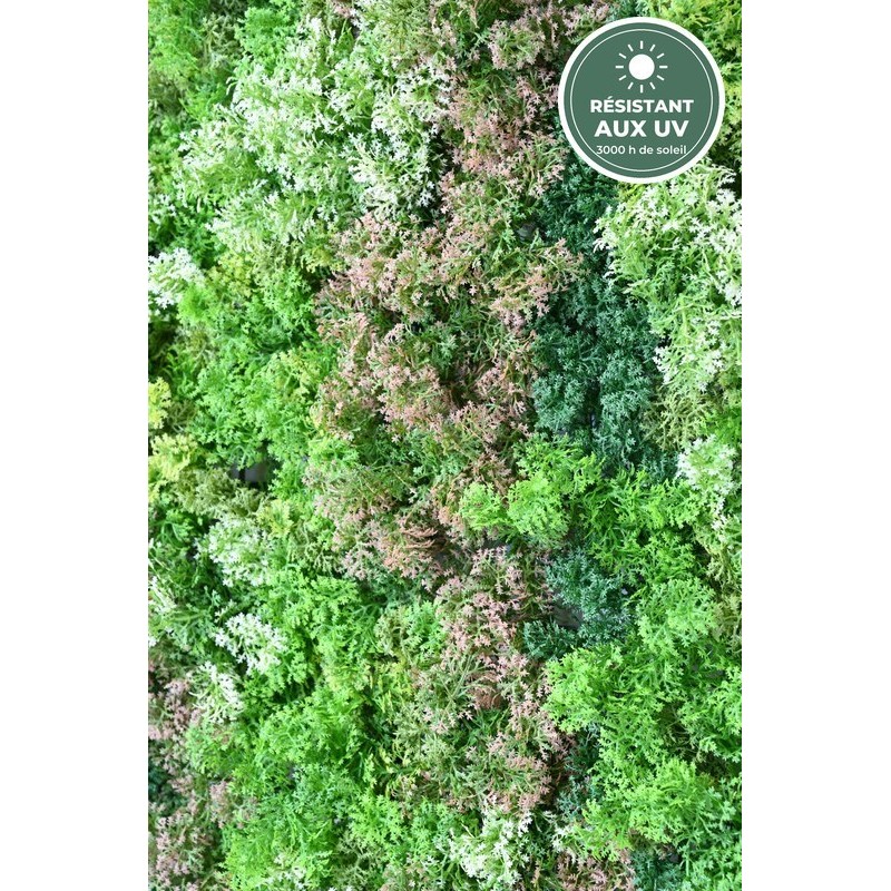 Mur effet mousse panaché vu de près, fournitures en gros pour décorateurs