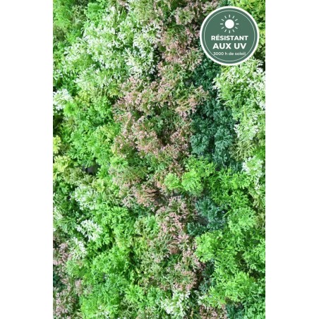 Mur effet mousse panaché vu de près, fournitures en gros pour décorateurs