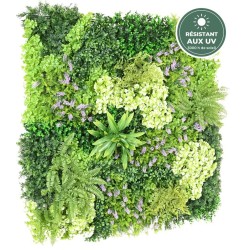 Volumes vert tendre du mur végétal champêtre, vente en gros pour fleuristes