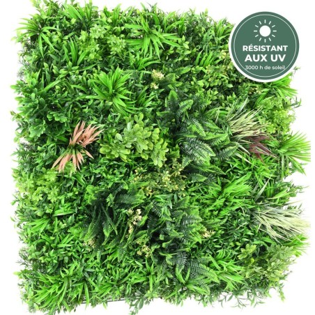 Feuillage serré du mur végétal vert intense, vente en gros pour fleuristes