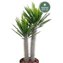 Troncs épineux et feuilles du pachypodium artificiel 100 cm, vente en gros pour fleuristes