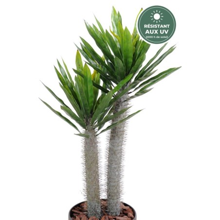 Troncs épineux et feuilles du pachypodium artificiel 100 cm, vente en gros pour fleuristes
