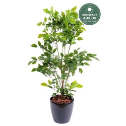 Feuillage aéré du palissandre artificiel 120 cm, grossiste en plantes artificielles