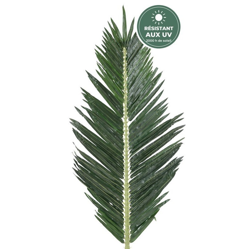 Détail de la feuille de palme royale 180 cm, fournitures en gros pour terrasses