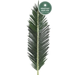 Palme de palmier royal 210 cm vue de près, vente en gros pour bars de plage