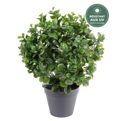 Peperomia buisson artificiel vert 60 cm en pot, grossiste en plantes artificielles résistantes aux UV