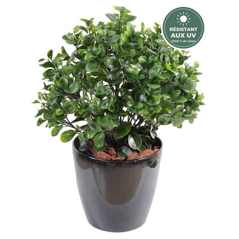 Feuilles rondes du peperomia buisson artificiel 60 cm, vente en gros pour fleuristes