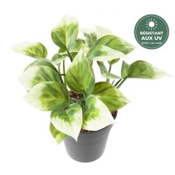 Philodendron artificiel panaché vert et crème 25 cm, grossiste en feuillage artificiel