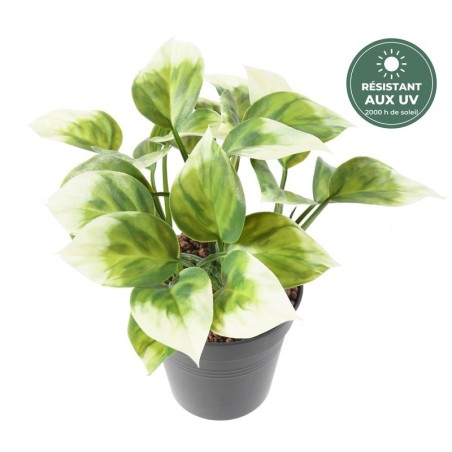 Philodendron artificiel panaché vert et crème 25 cm, grossiste en feuillage artificiel