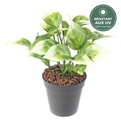Feuilles en cœur du philodendron artificiel panaché, vente en gros pour fleuristes