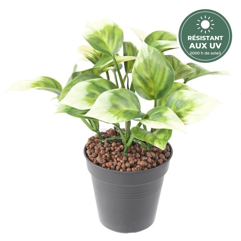 Feuilles en cœur du philodendron artificiel panaché, vente en gros pour fleuristes