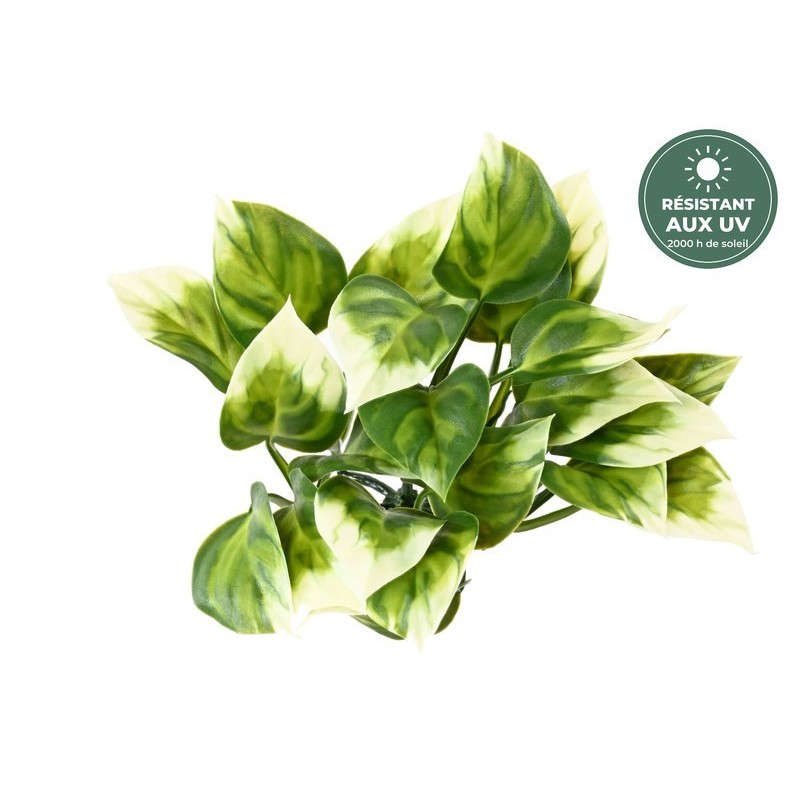 Philodendron artificiel panaché 25 cm vu de dessus, grossiste en plantes artificielles résistantes aux UV