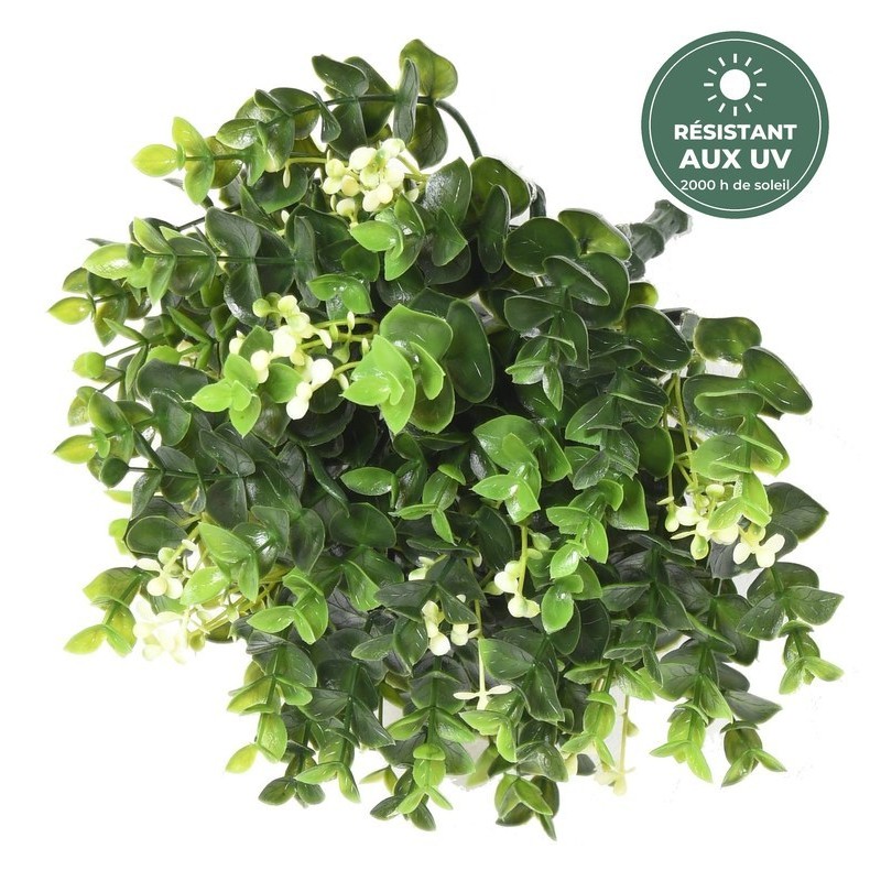 Piquet de baies vert 25 cm traité UV, vente en gros pour jardinières de façade