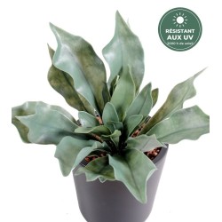 Platycérium artificiel gris-vert 25 cm résistant aux UV, grossiste en feuillage artificiel