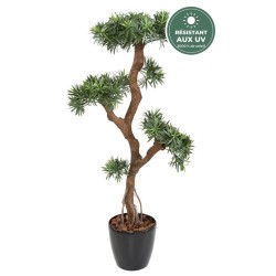 Podocarpus nuage 135 cm résistant aux UV, vente en gros pour fleuristes et décorateurs