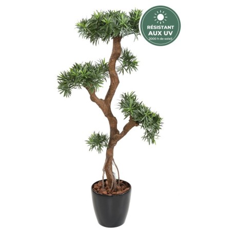 Podocarpus nuage 135 cm résistant aux UV, vente en gros pour fleuristes et décorateurs