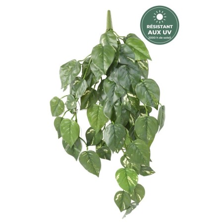 Chute de pothos artificiel vert 75 cm résistante aux UV, grossiste en feuillage artificiel