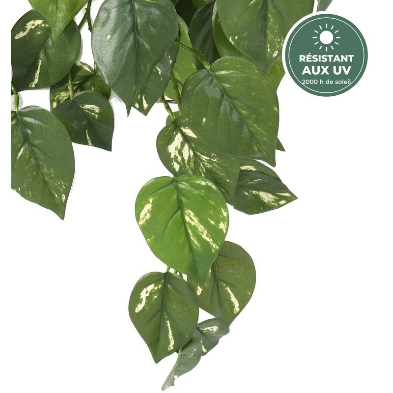 Chute de pothos vert 75 cm aux tiges armées, vente en gros pour murs végétaux