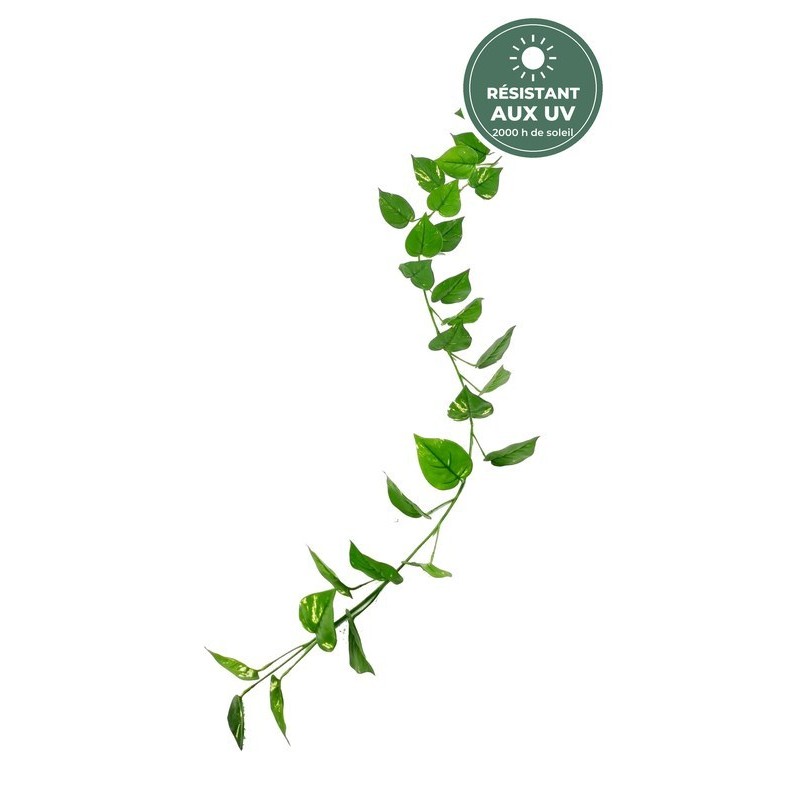 Guirlande de pothos artificiel vert 190 cm, vente en gros pour fleuristes