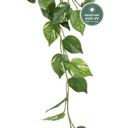 Guirlande de pothos 110 cm traitée UV, grossiste en guirlandes végétales
