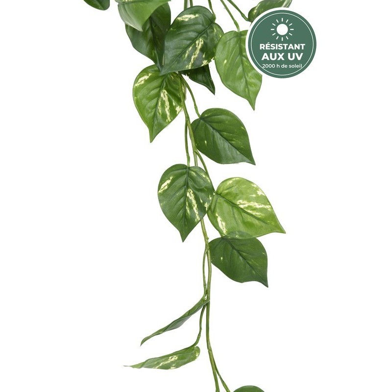 Guirlande de pothos 110 cm traitée UV, grossiste en guirlandes végétales