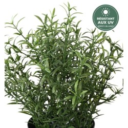 Romarin artificiel en pot 24 cm, vente en gros pour fleuristes et restaurateurs