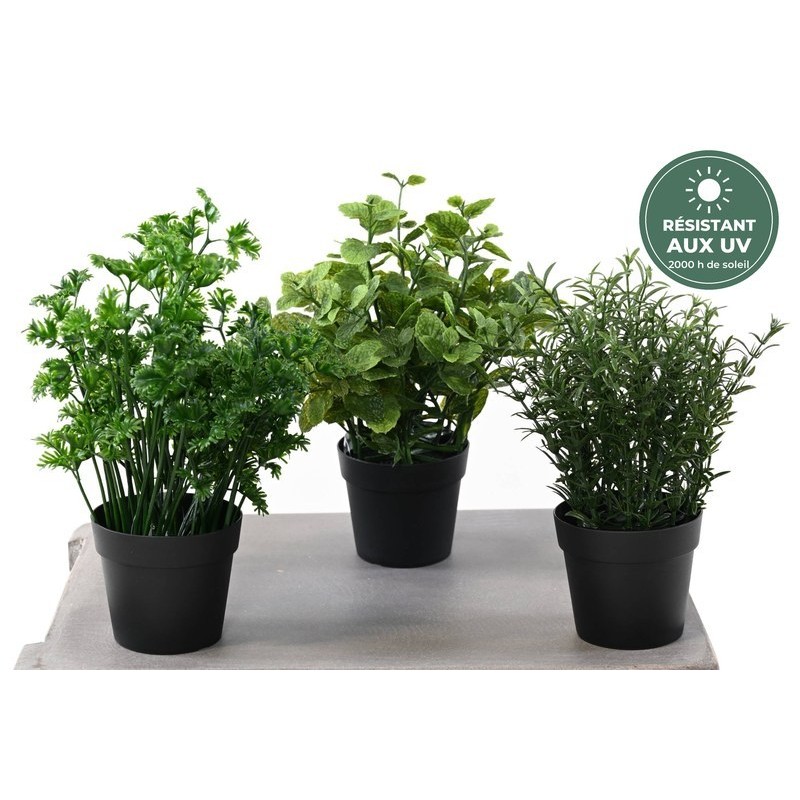 Romarin vert 24 cm traité UV, grossiste en aromatiques artificielles